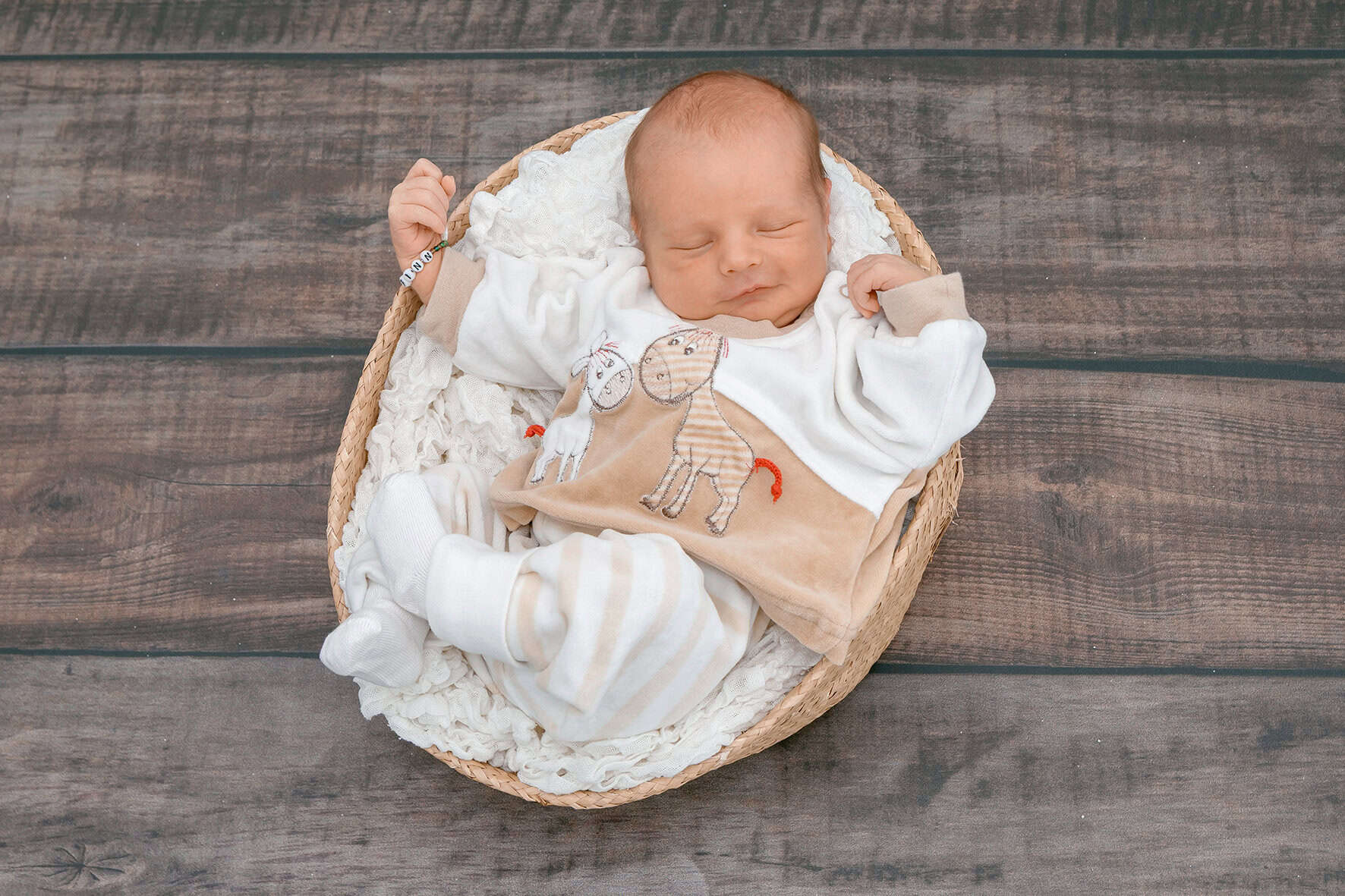 251011 Finn Lino